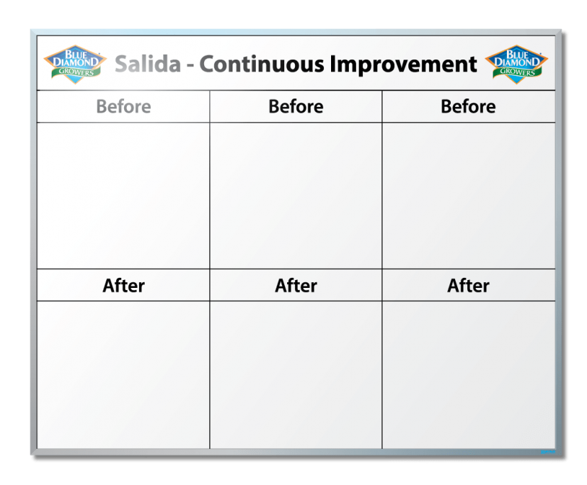 Blue Diamond Continuous Improvement Dry Erase Board 48" x 60"