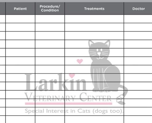 Why Printed Whiteboards Are a Must-Have for Vet Techs