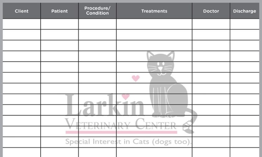 Why Printed Whiteboards Are a Must-Have for Vet Techs