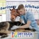 Veterinary Whiteboards