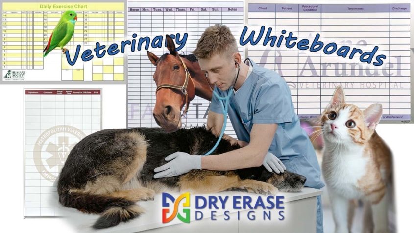 Veterinary Whiteboards