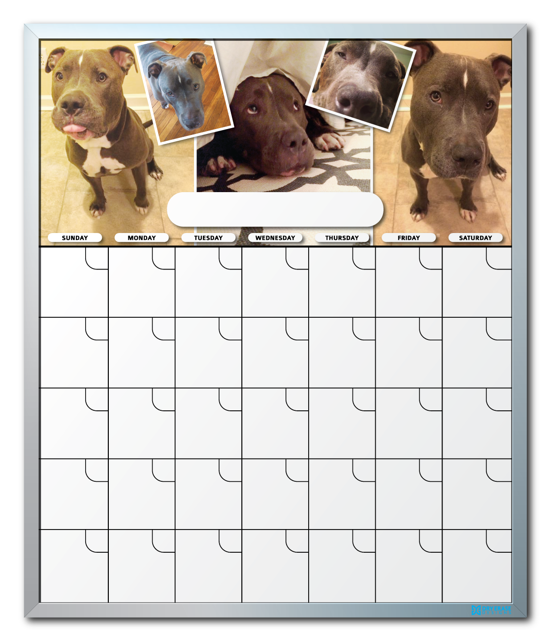 Personalized Dry Erase Calendar With Pet Pictures Dry Erase Designs