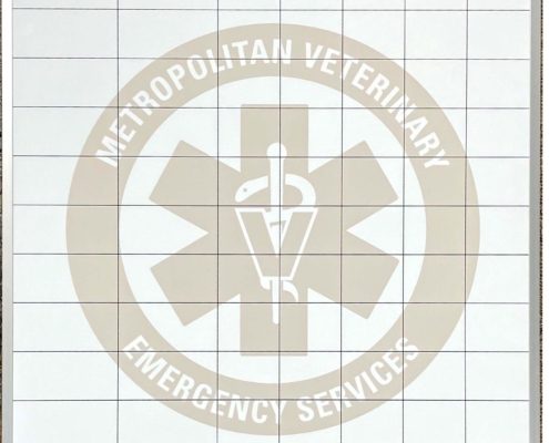 Metropolitan Veterinary Emergency Services