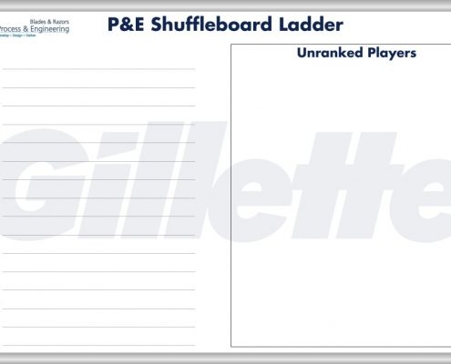 Gillette P&E Shuffleboard Ladder Board