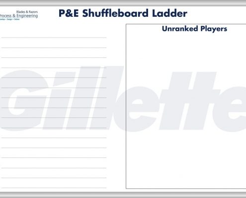 Gillette P&E Shuffleboard Ladder Board