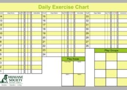 Veterinary Daily Dog Exercise Chart
