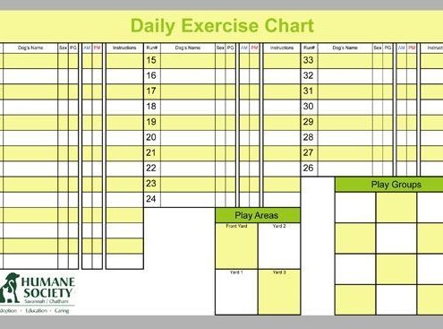 Veterinary Daily Dog Exercise Chart