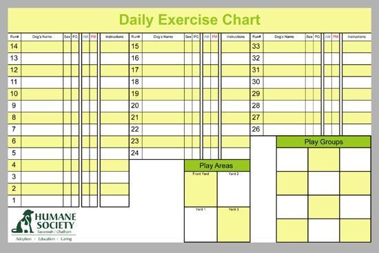 Veterinary Daily Dog Exercise Chart